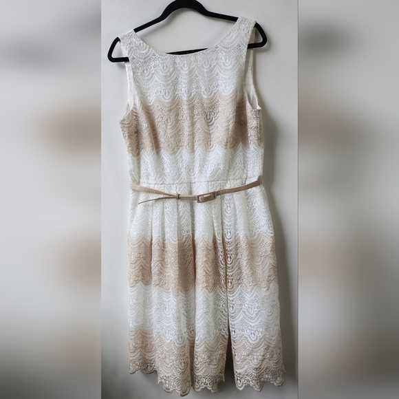 White House Black Market Lace Fit and Flare Dress Cream Champagne Tan Size 14 - Picture 2 of 14